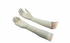 Gloves Sterile Latex XL