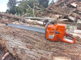 Chain Saw 50 Inch